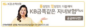 KB손해보험