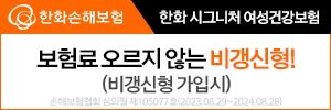 한화손해보험